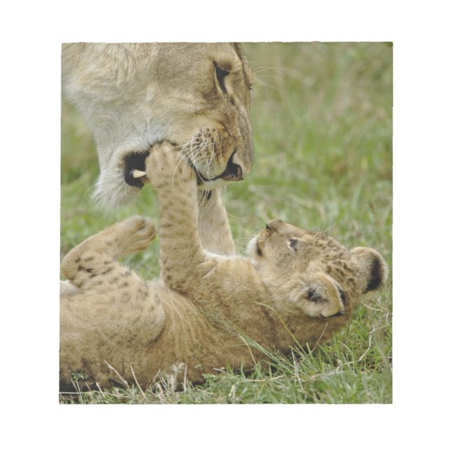 Lion Cub Playing Notizblock (Vorderseite)