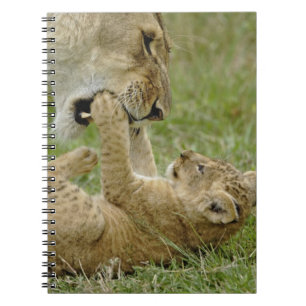Lion Cub Playing Notizblock