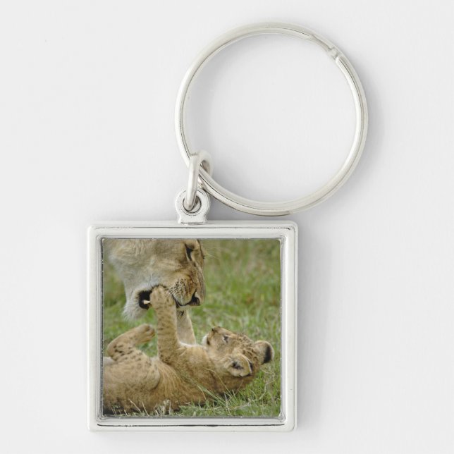 Lion Cub Playing Schlüsselanhänger (Vorne)