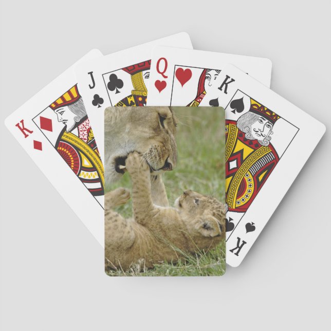 Lion Cub Playing Spielkarten (Rückseite)