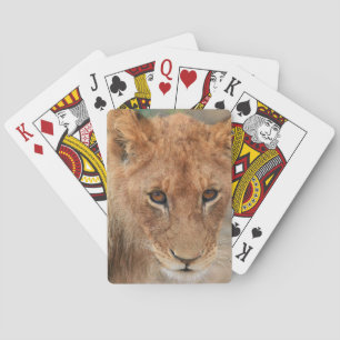 Lion Cub Spielkarten