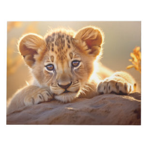 Lion Cub Wild Animal Tranquil Friedlich Notizblock