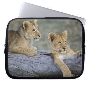 Lion Cubs auf Log Laptopschutzhülle
