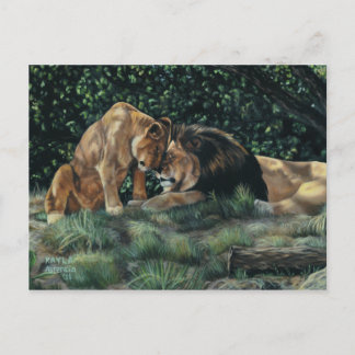 Lion Cuddle Postcard Postkarte