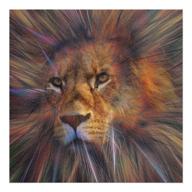 Lion dans la galerie Photo agrandissement (Devant)