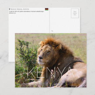 Lion dans le Masai Mara, Kenya Carte postale de vo