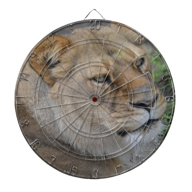 Lion Dartscheibe (vorne)