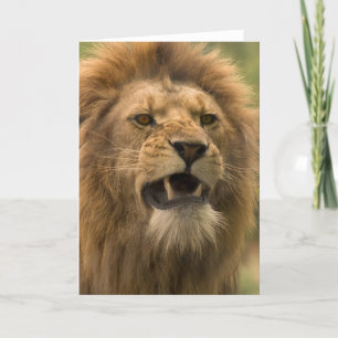 Lion de grondement. Carte par le cARTerART