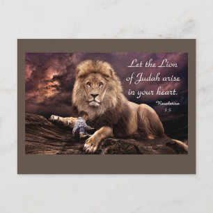 Lion de Juda Apocalypse 5:5 Carte postale
