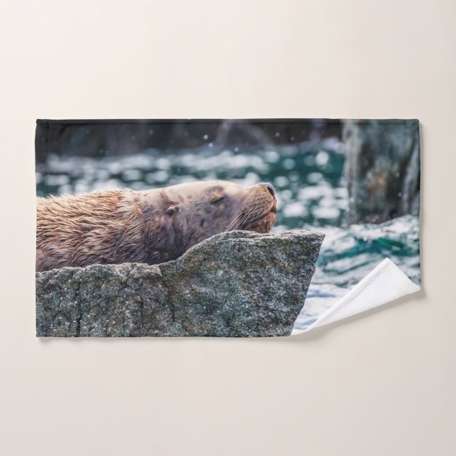 Lion De Mer Dans La Baie De Résurrection, Alaska (Serviette à main)