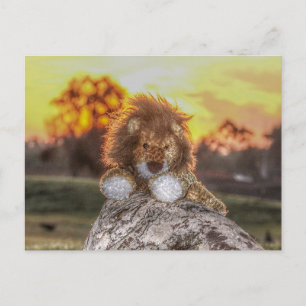 Lion Doll bei Sunrise Postcard Postkarte