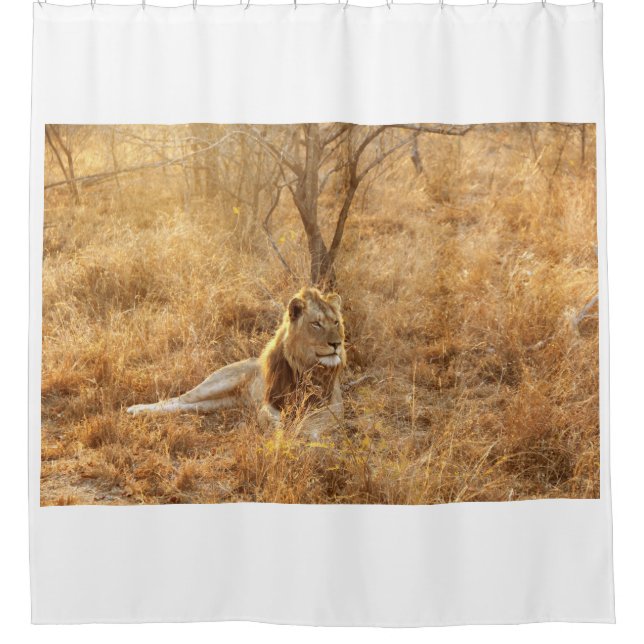 Lion Duschvorhang (Vorderseite)