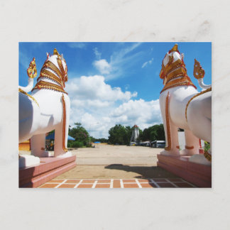 Lion Eye View Postkarte