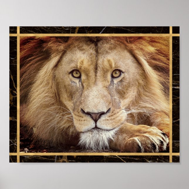 Lion Face Closeup Foto Image Print Poster (Vorne)