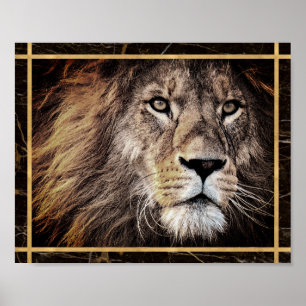 Lion Face Foto Image Print Poster