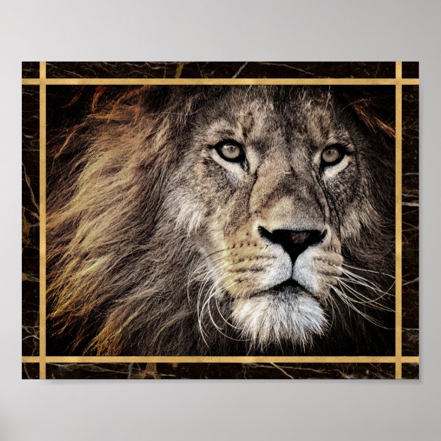 Lion Face Foto Image Print Poster (Vorne)