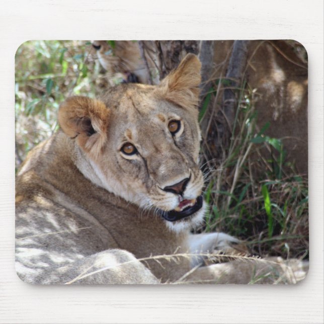 lion face mousepad (Vorne)
