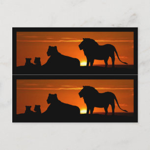 Lion Family Book Markers Postkarte