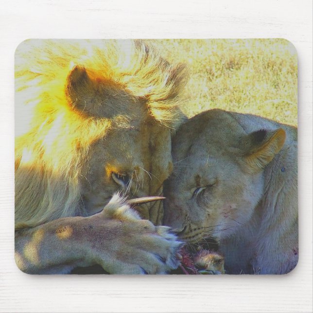 Lion Feast Wildlife Fotografy Mouse Pad Mousepad (Vorne)