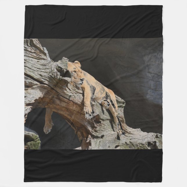 Lion Fleece Blanket (Vorderseite)