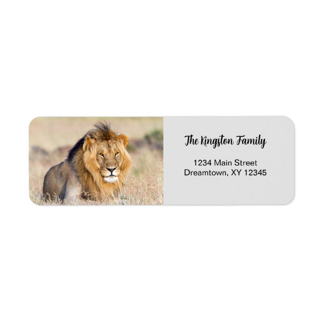 Lion Foto personalisiert Rücksendeadresse (Vorne)