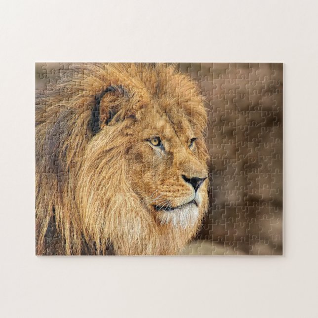 Lion Foto Portrait (Horizontal)