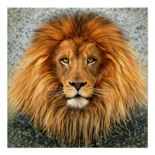 Lion Fotografie Malgrafiebild Poster