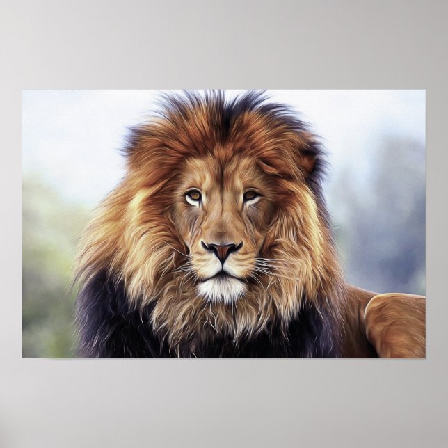 LION FOTOGRAFIE POSTER (Vorne)