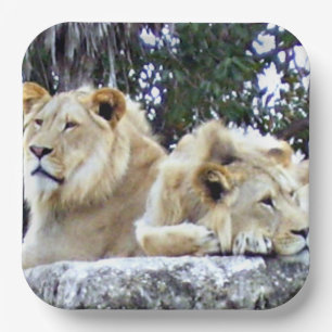Lion Friends Paper Tellers Pappteller