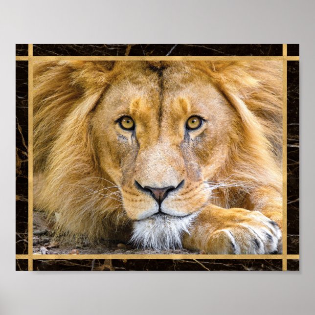 Lion-Gesichtshälfte Brillantes Foto Image Print Po Poster (Vorne)