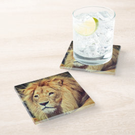 Lion Glasuntersetzer