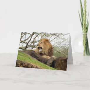 Lion Greeting Card (0356) Karte