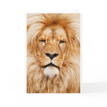 Lion Greeting Card