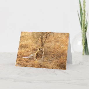 Lion Greeting Card Karte