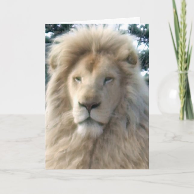 Lion Head "Happy Birthday"-Karte Karte (Vorderseite)