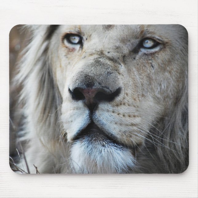 Lion hört meinem Herzschlag Afrika zu Mousepad (Vorne)