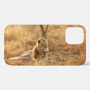 Lion iPhone 12 Coque