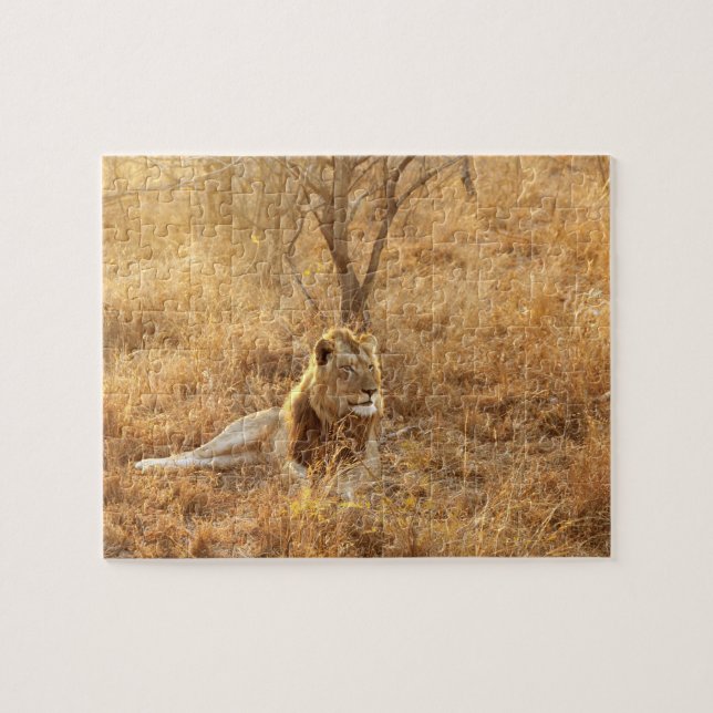 Lion Jigsaw Puzzle (Horizontal)