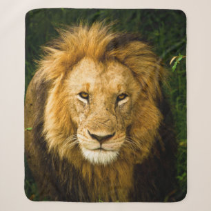 LION KING IM JUNGLE SHERPADECKE