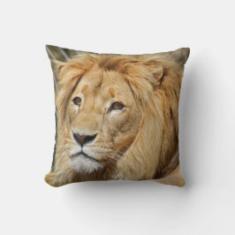 Lion Kissen