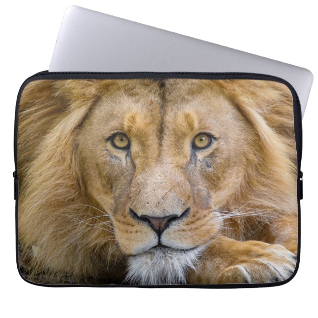 LION LAPTOP SLEEVES (Vorderseite)