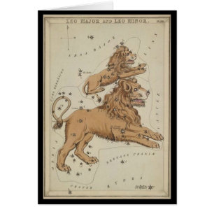 Lion le lion