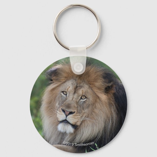 Lion Lounging in a Forest Schlüsselanhänger (Vorderseite)