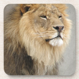 Lion Lovers Art Getränkeuntersetzer