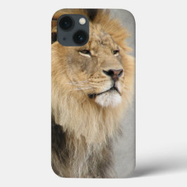 Lion Lovers King of the Dschungel title_seo2