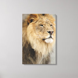 Lion Lovers King of the Dschungel Leinwanddruck