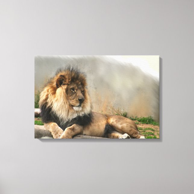 Lion Lovers King of the Dschungel Leinwanddruck (Vorderseite)