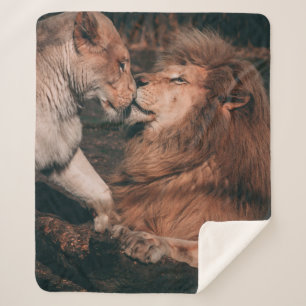 LION LYING ON BROWN ROCK SHERPADECKE