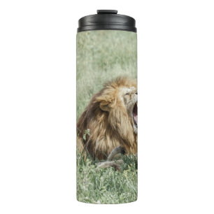LION LYING ON GREEN GRASS WÄHREND DES TAGES THERMOSBECHER