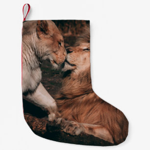 LION LYON ON BROWN ROCK KLEINER WEIHNACHTSSTRUMPF